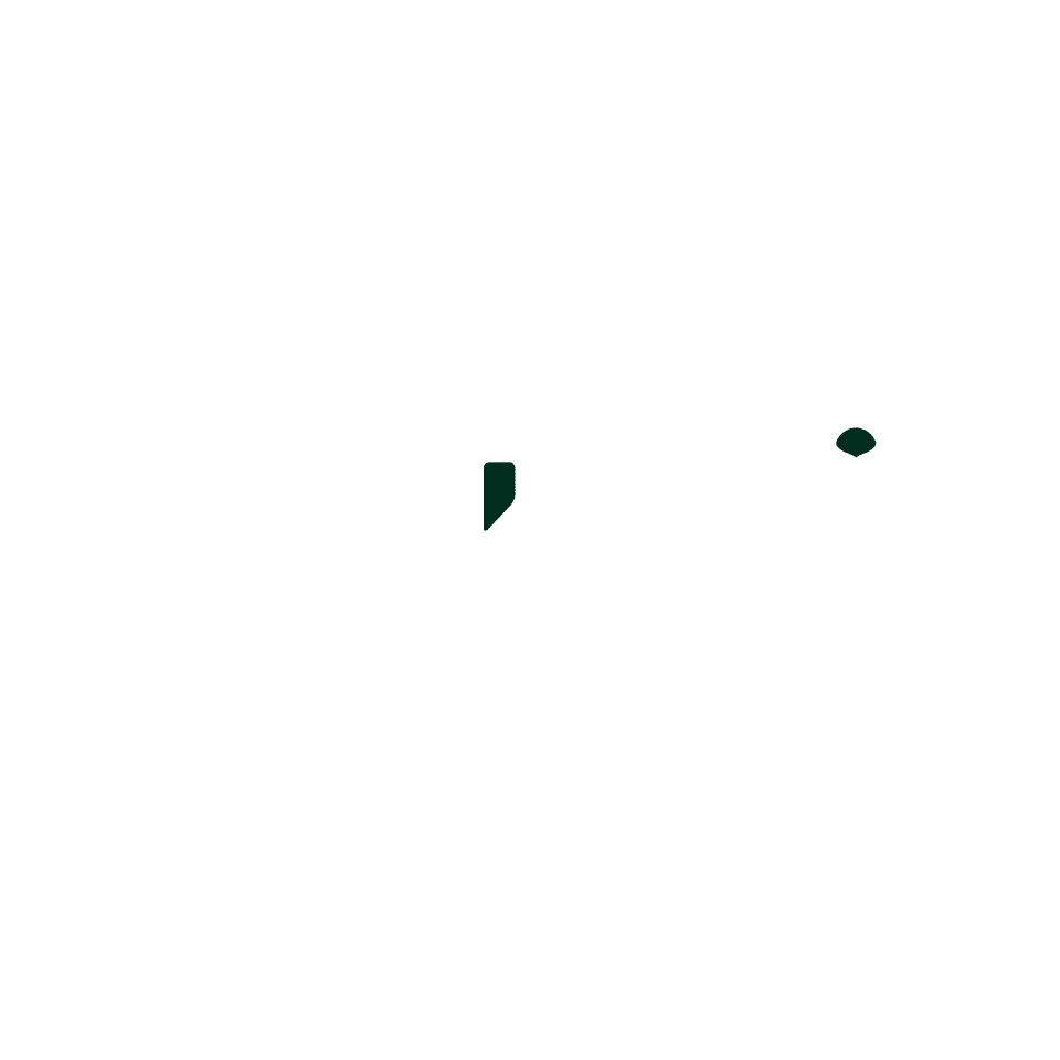Logo avec hibou et texte "Veille & Conseil en Sécurité Informatique".