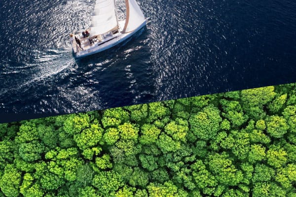 Voilier sur l'eau bleue et vue aérienne d'une forêt verte.