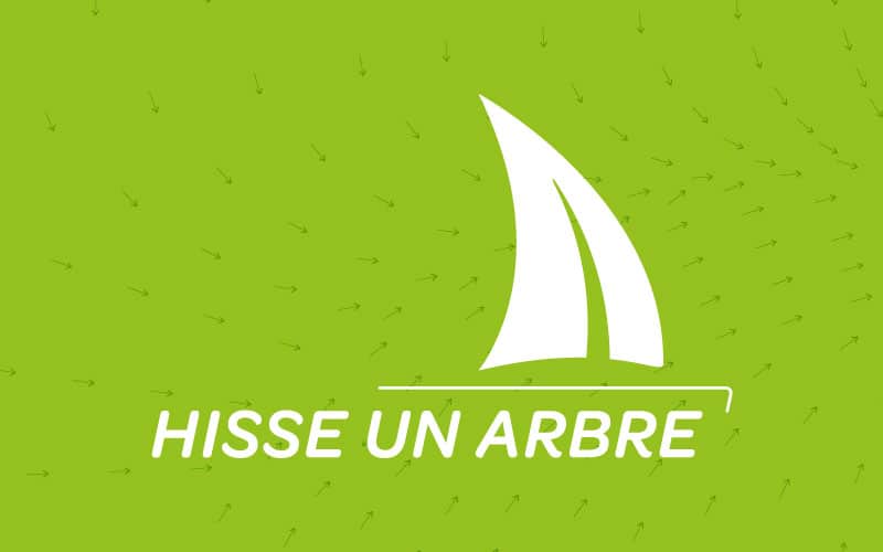 Projet “Hisse un arbre”